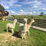 Osada D Ferienhaus *