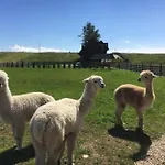 Osada D Ferienhaus Koniowka