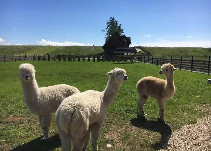Osada D Dom wakacyjny Koniowka